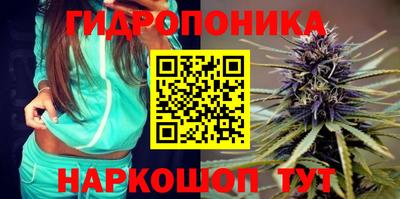 Альфа ПВП Обнинск