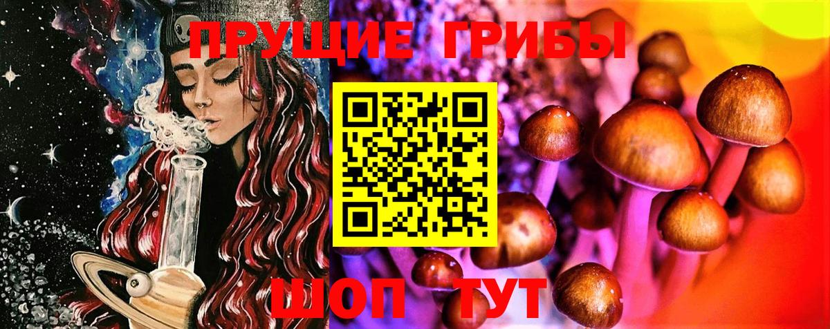 Галлюциногенные грибы прущие грибы Сафоново